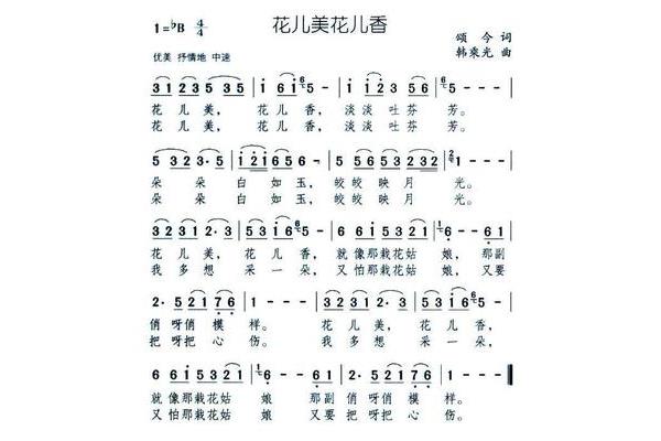 什么的花儿