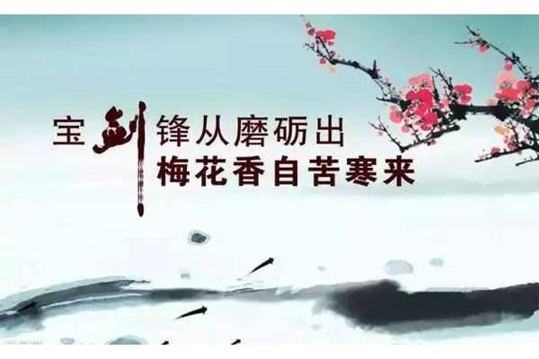 感恩励志语句