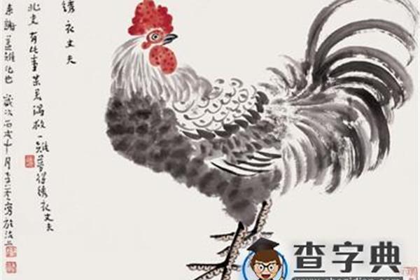 关于鸡的成语