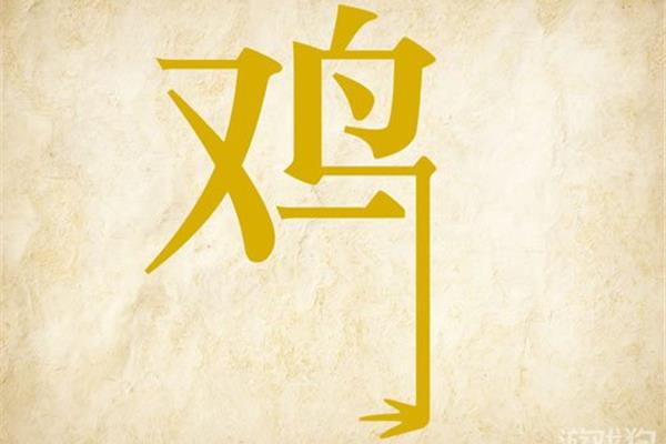 关于鸡的成语