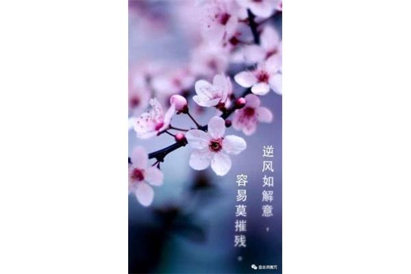 梅花唐崔道融