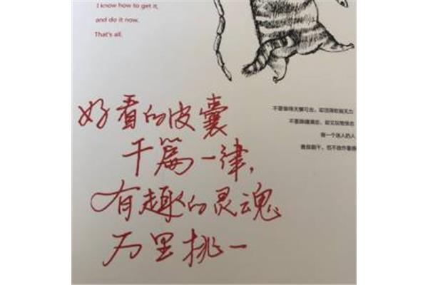 好看的皮囊