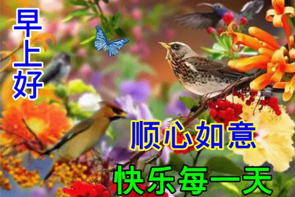 祝福朋友的话语