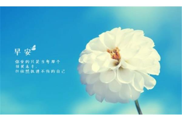 每日一句正能量