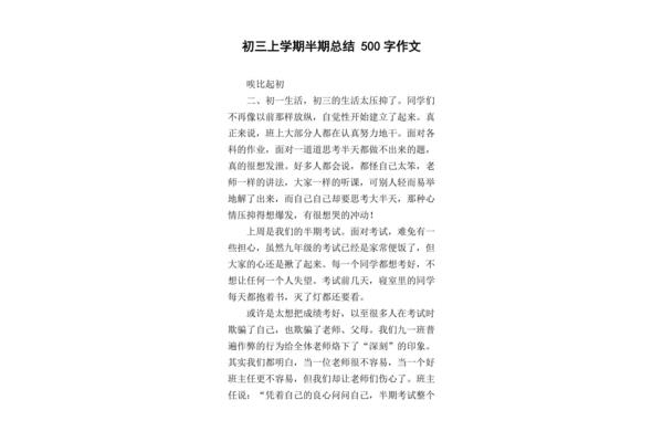 半期总结500字