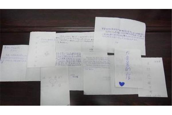 爱的教育作文
