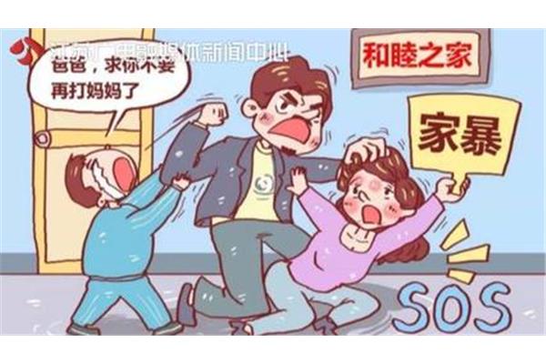 家庭暴力案例