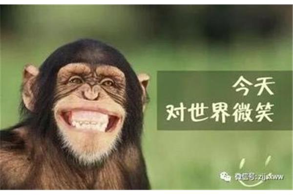 都要微笑好吗