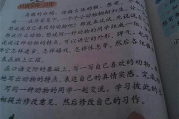 最喜欢的小动物