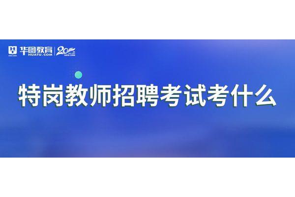 特岗考什么