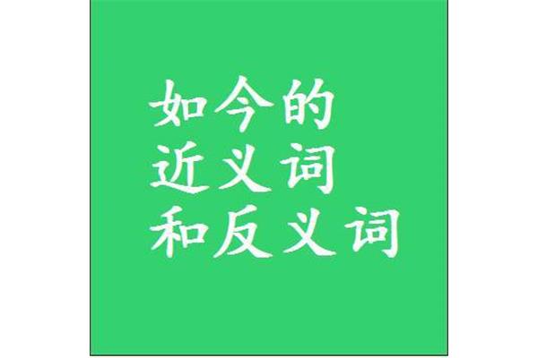 如今的反义词
