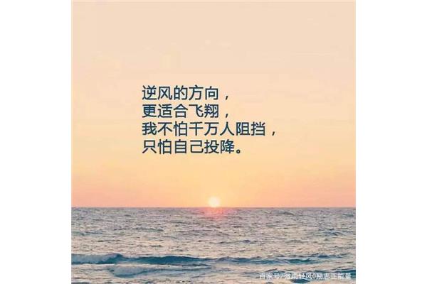 勇气励志语录