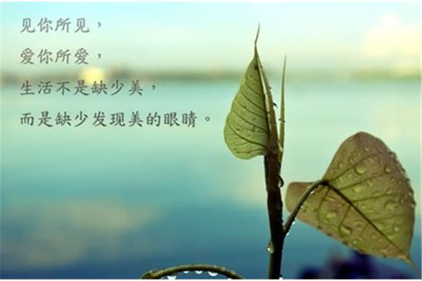未雨绸缪近义词