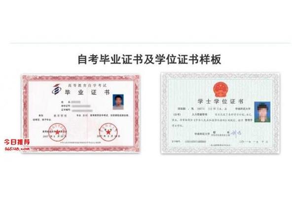 怎么自考本科