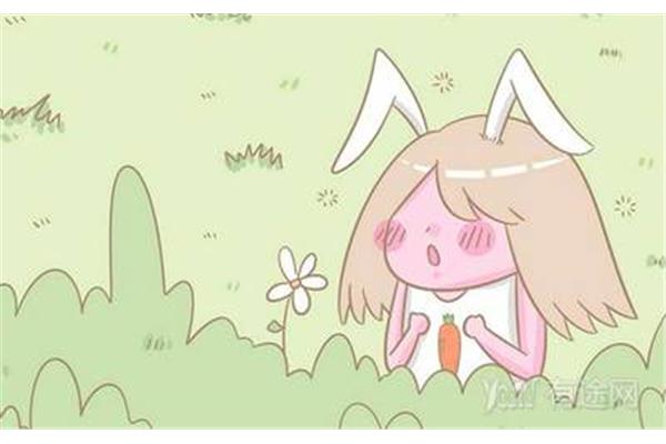 二学历有用吗
