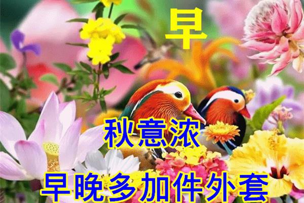 祝福朋友的话语