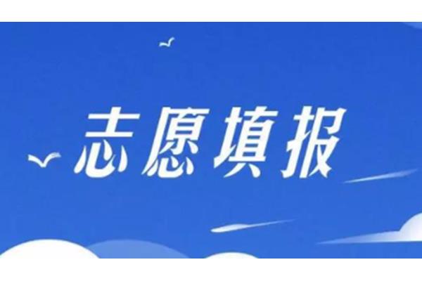 志愿填报指南