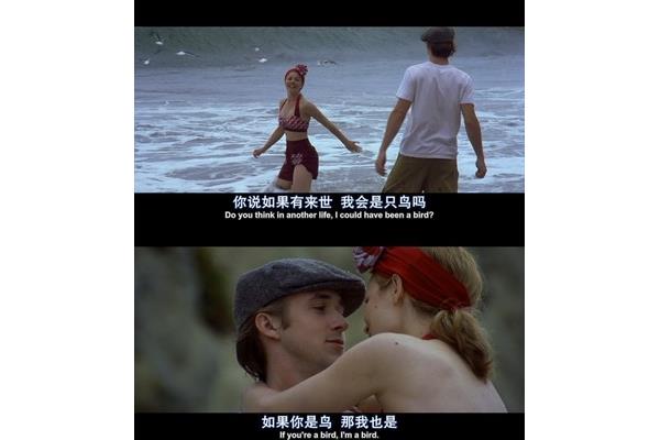 如果有下辈子
