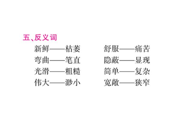 弯曲反义词