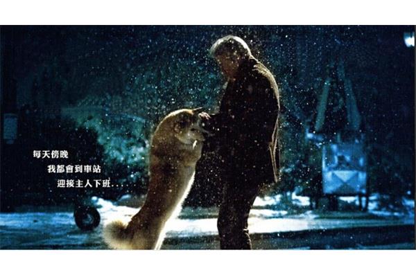 《忠犬八公》