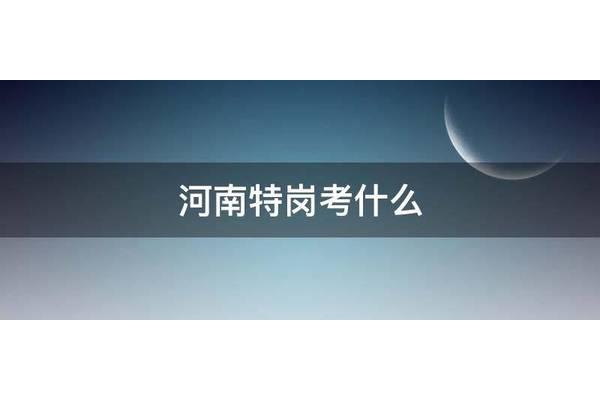 特岗考什么