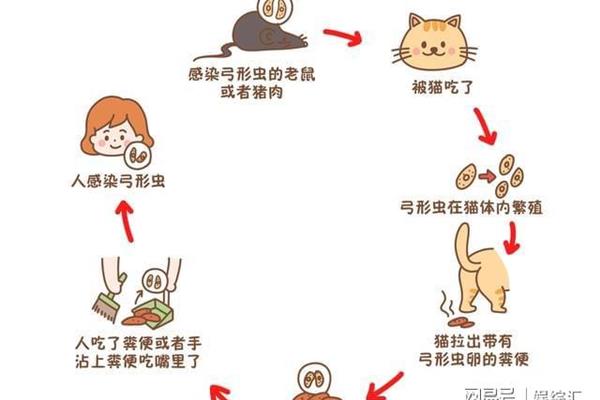 养宠物的利弊