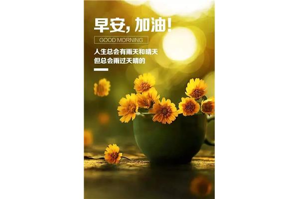 每日一句正能量