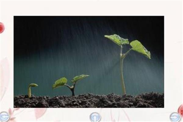 描写雨声的词语