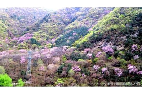 留在心底的风景