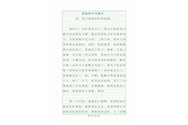 爱国作文300字