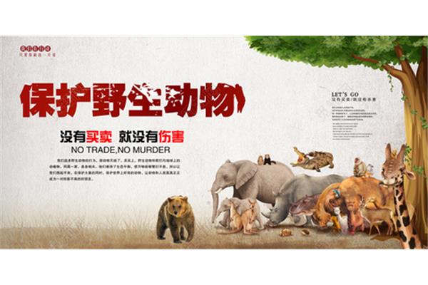 保护动物的标语