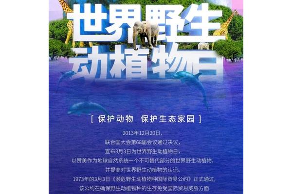 保护动物的标语