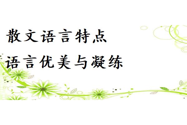 语言特点有哪些