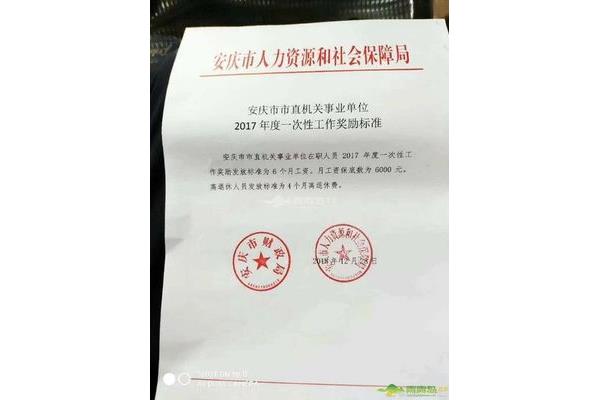 市直是什么意思