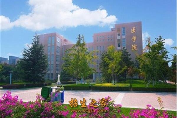 陕西医学院
