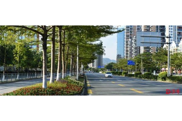 深圳发展历史
