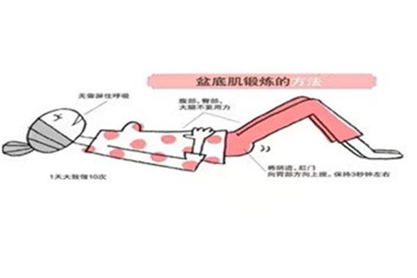 盆底肌怎么锻炼