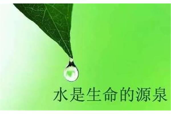 生命的源泉