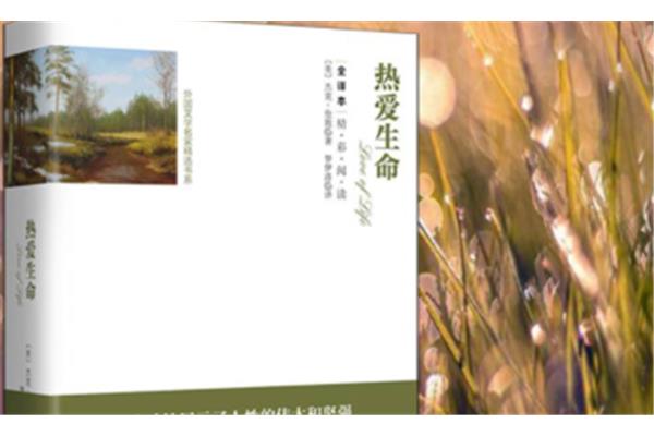 饥饿的杰克小说