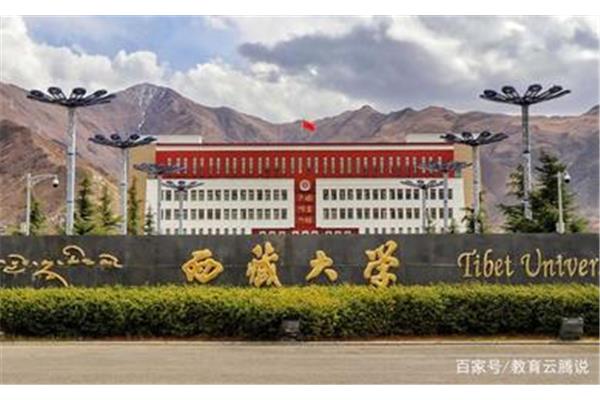 西藏大学艺术学院