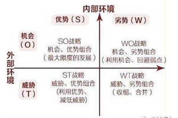 swot分析自己