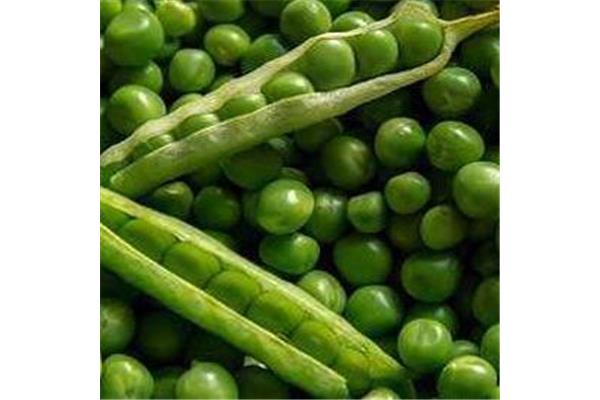 什么衣什么食