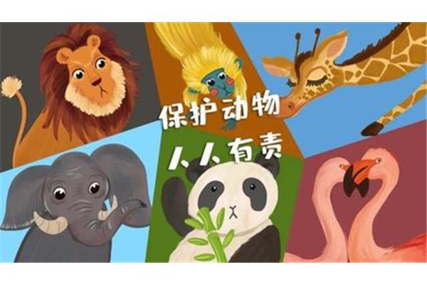 保护动物的标语