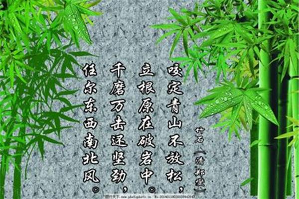 写竹子的古诗