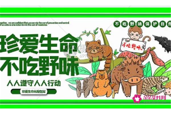 保护动物的标语