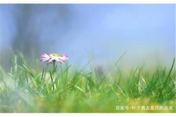 平静心态的句子