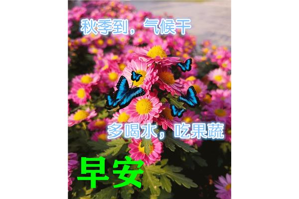 早晨的问候语