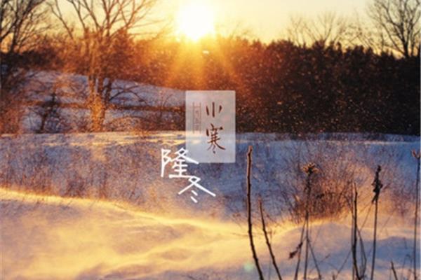 星桥铁锁开