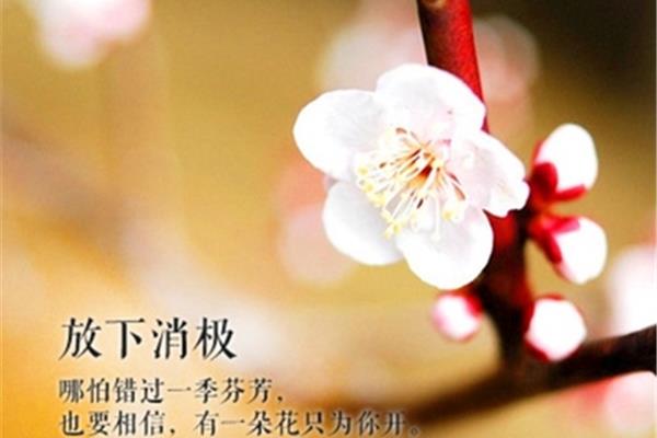 平静心态的句子
