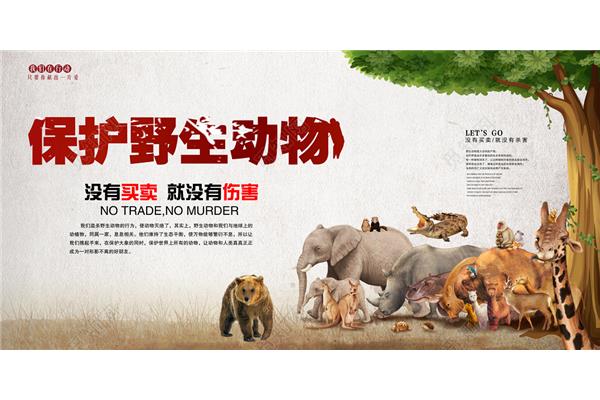 保护动物的标语